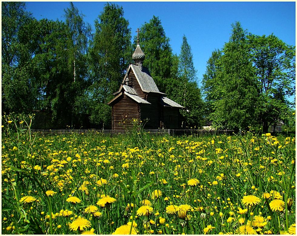 Фото природы вологодской области