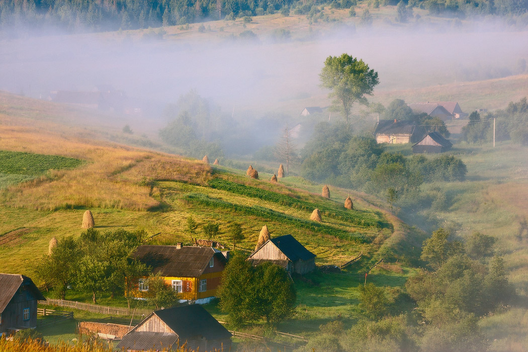 Фото утро в деревне летом