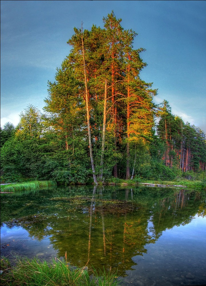 Карельский перешеек фото