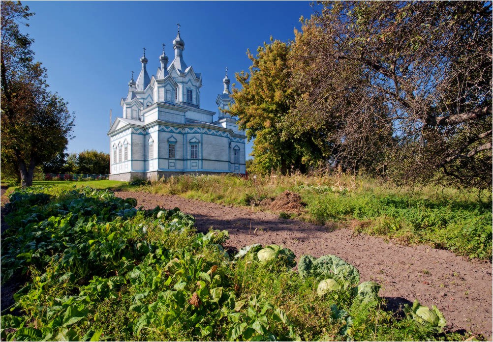 Брянские села. Брянская обл Баклань Церковь. Баклань. Церковь Спаса Преображения.. Преображенская Церковь (Баклань). Брянская Почепский Баклань Церковь.