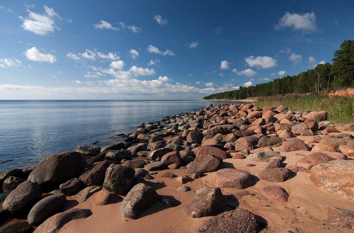 Baltic ocean. Балтийский берег. Абразивные берега Балтийского моря. Baltiyskiy Bereg. Каменный берег.