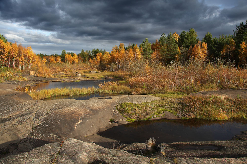 Осенняя река Карелия