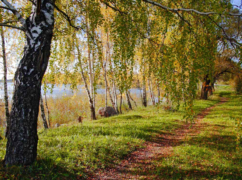 Картинка ранняя осень