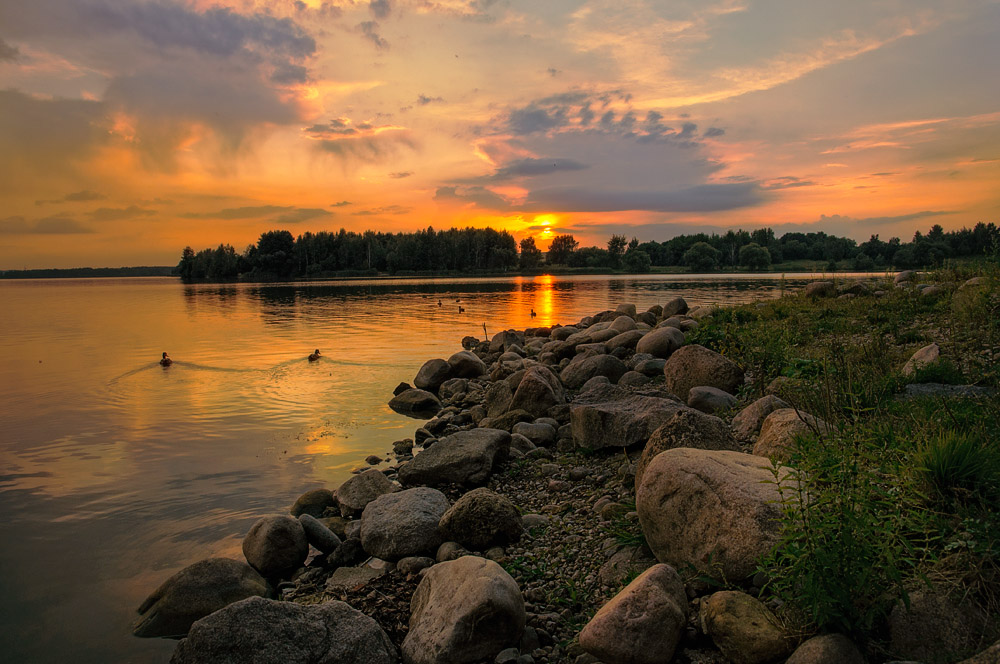 Водохранилище дрозды минск фото