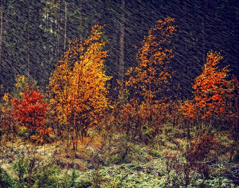 Осеннее ненастье. Осень непогода. Осеннее ненастье красивые. Осень непогода картинки.