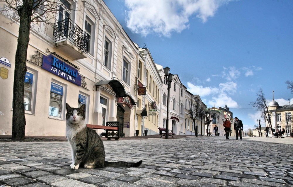 Улица суворова в витебске фото