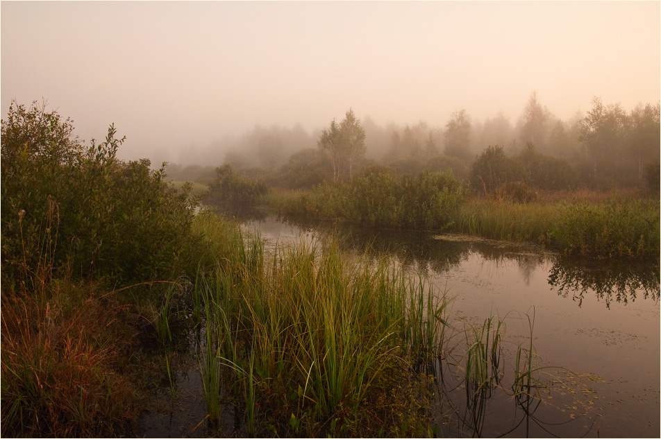 лето кончилось. конец июля фото. август кончается лето. пейзажи конец лета. конец лета 1995.