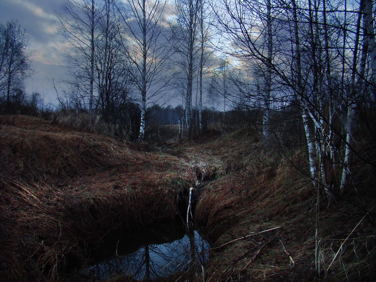 весеннее небо. холодный апрель. апрель холодно. весенняя природа. холодный апрель картинки.