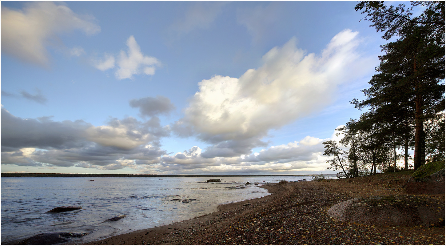 Финский залив Зеленогорск осень