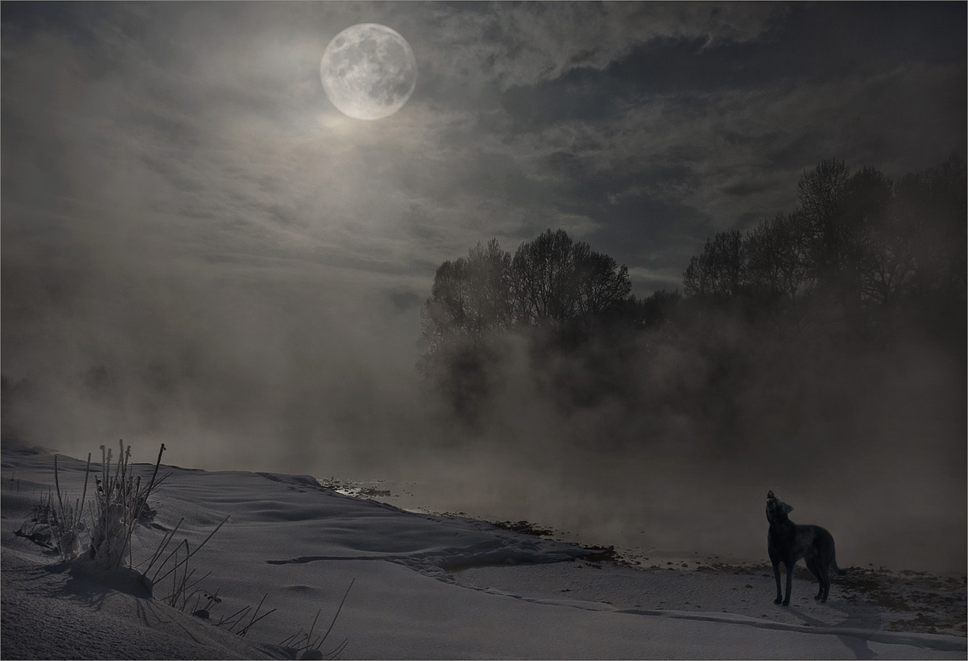 Вой ветра слушать. Мистические пейзажи. Зима метель. Луна в тумане. Мрачный зимний пейзаж.