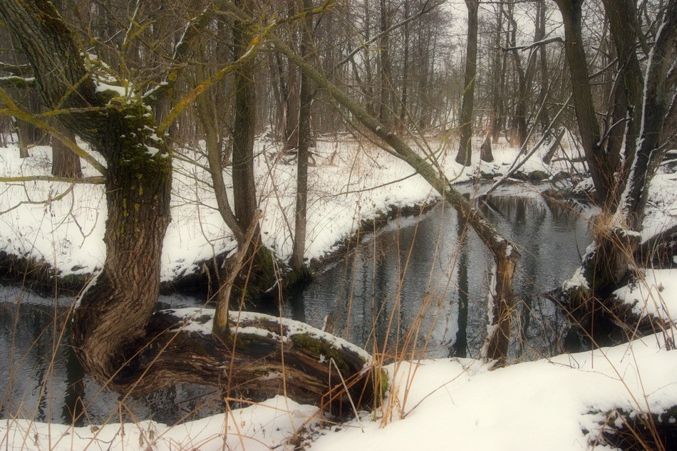 Меандрирование русла реки. Лукоморье река. Изгиб реки с горы. Холм среднерусская возвышенность. Луга среднерусской лесостепи.