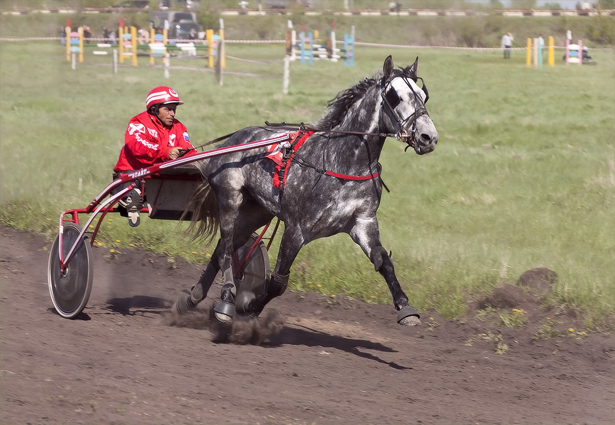 Резвая фильм 2007. Резвый это. Резвый это. Жокей резвая. Руффиан лошадь.