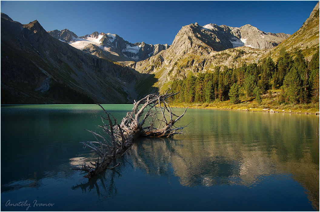 Красивые места алтая фото с названиями