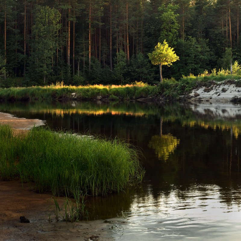 Река лух фото