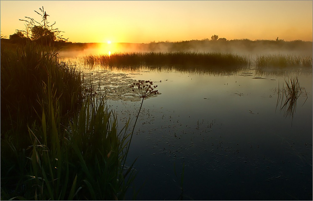 Река Сейм в Курске: красивые фото и интересные факты