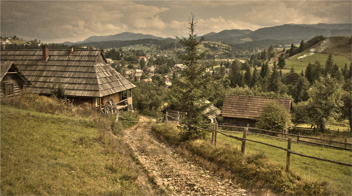 Дом в горах Карпаты