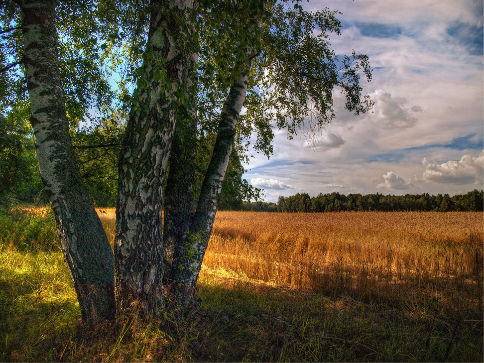 Картинка природа родного края