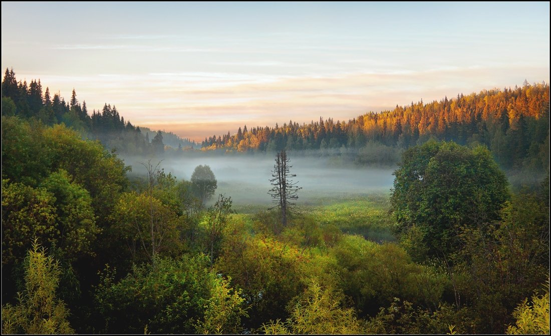 Архангельск фото природы