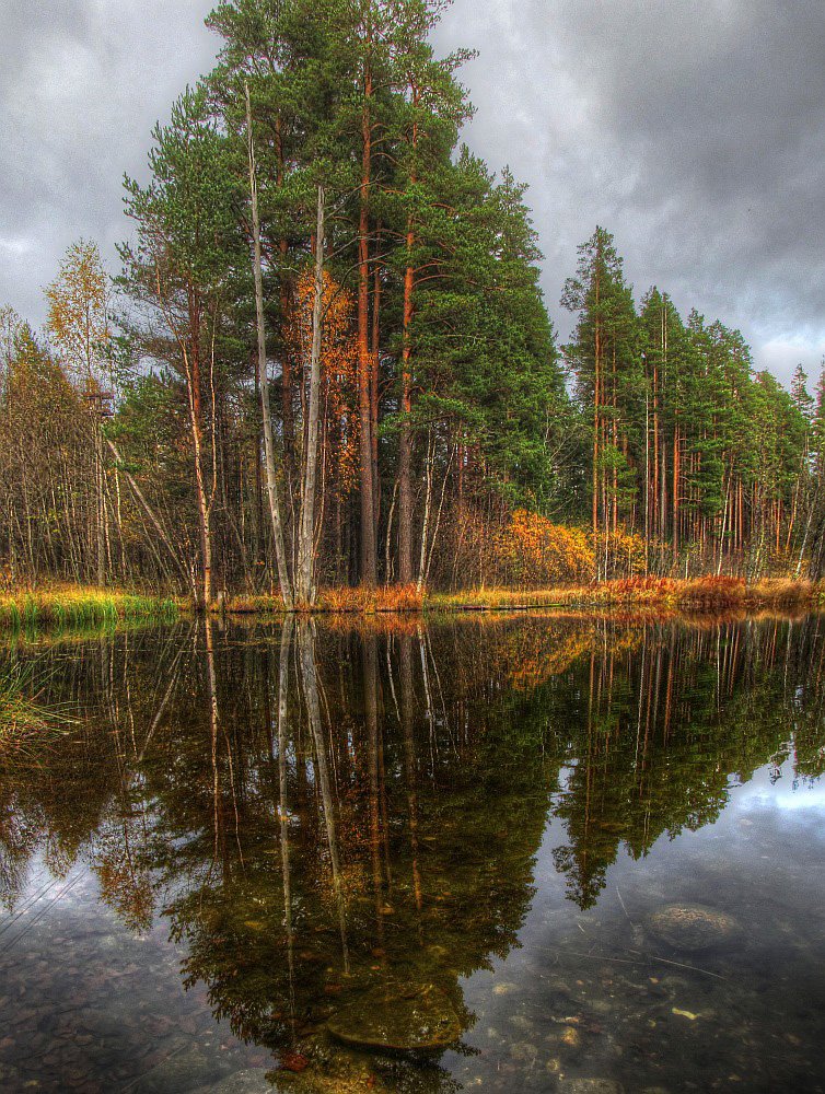 Карельский перешеек фото