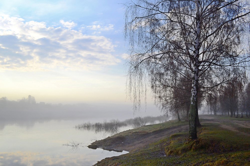 Весенняя дымка фото