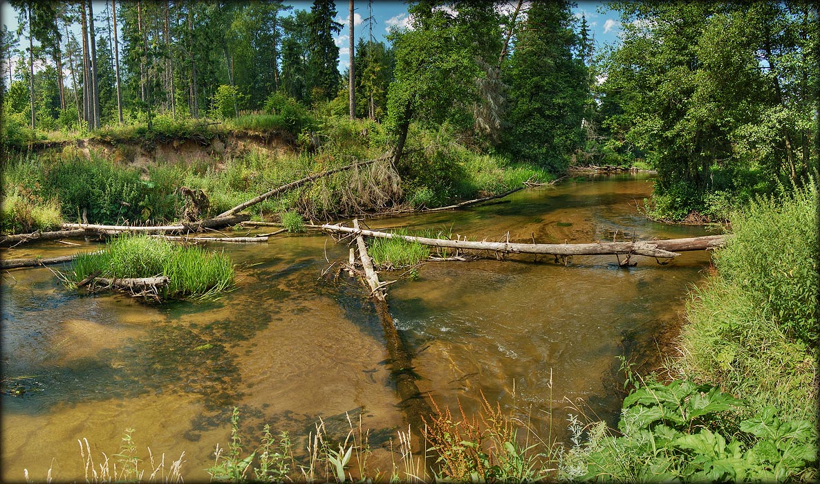 Карта река ислочь