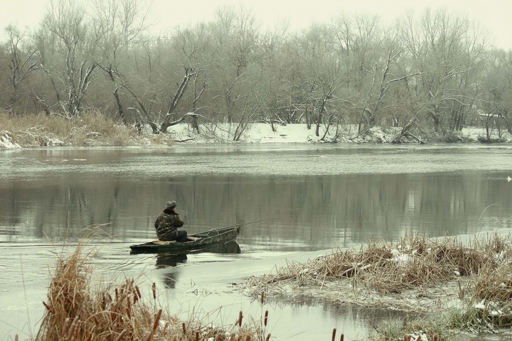 но река величаво несет