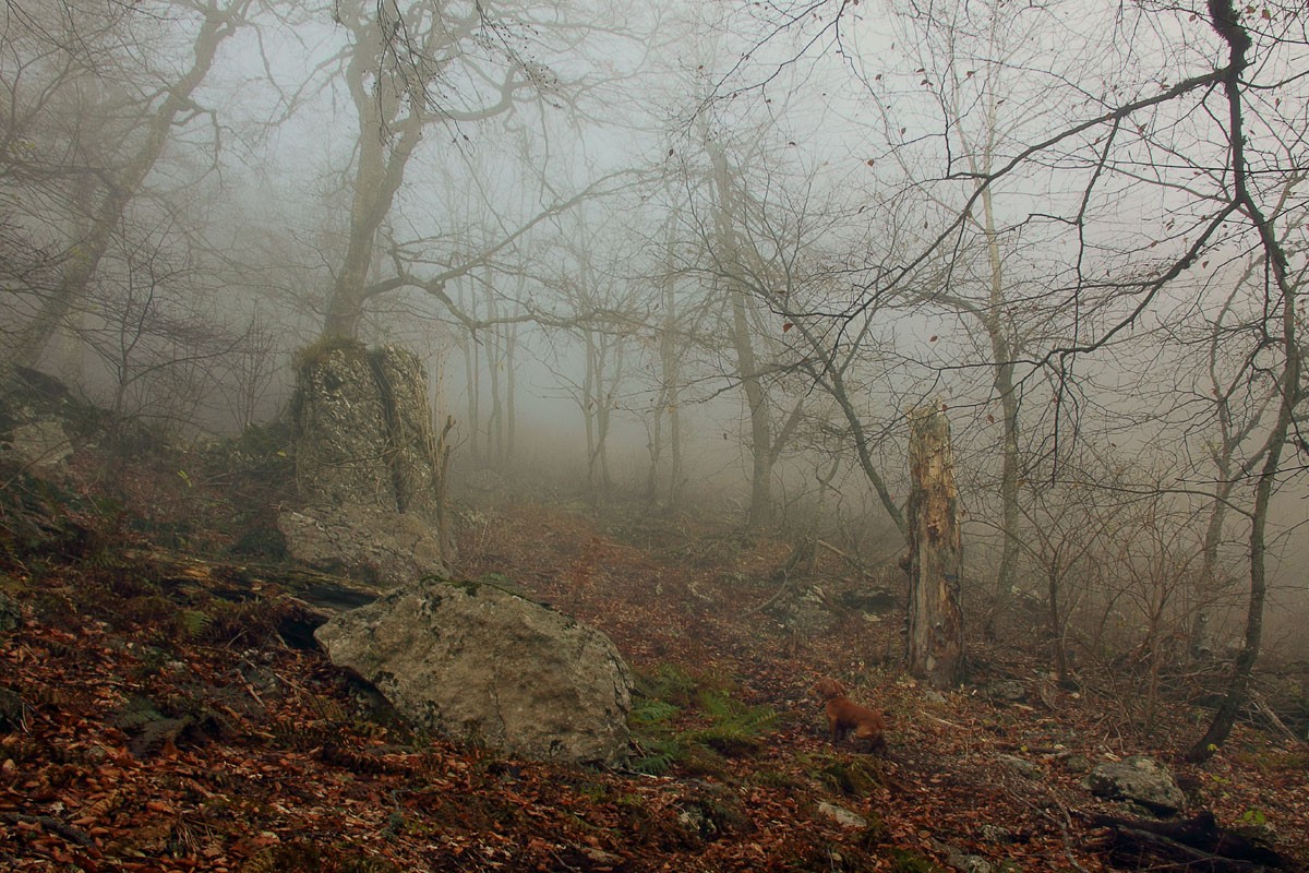 Гора призраков