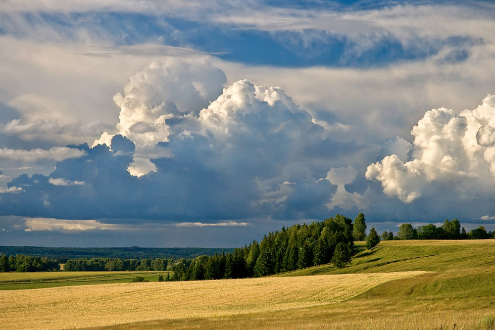 Июль фото природы