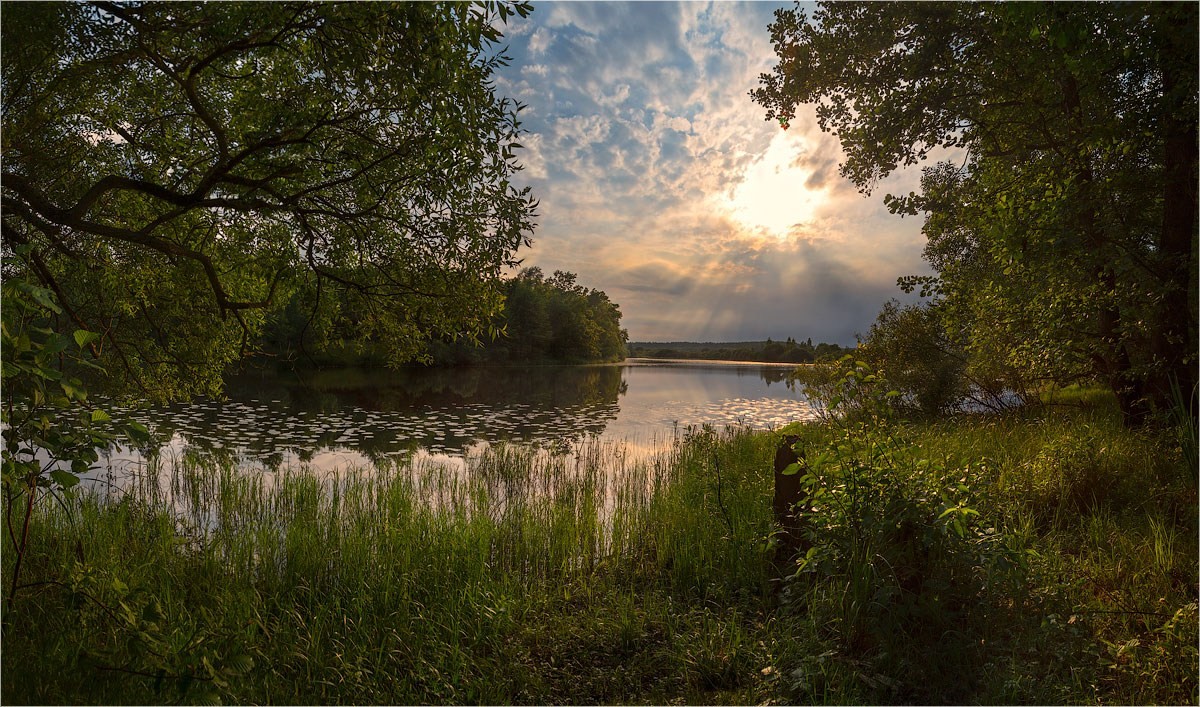 Июньский пейзаж фото