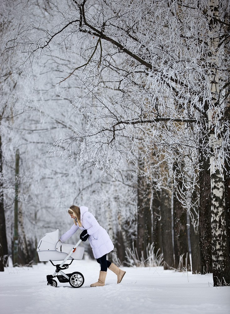 Зимняя прогулка фото