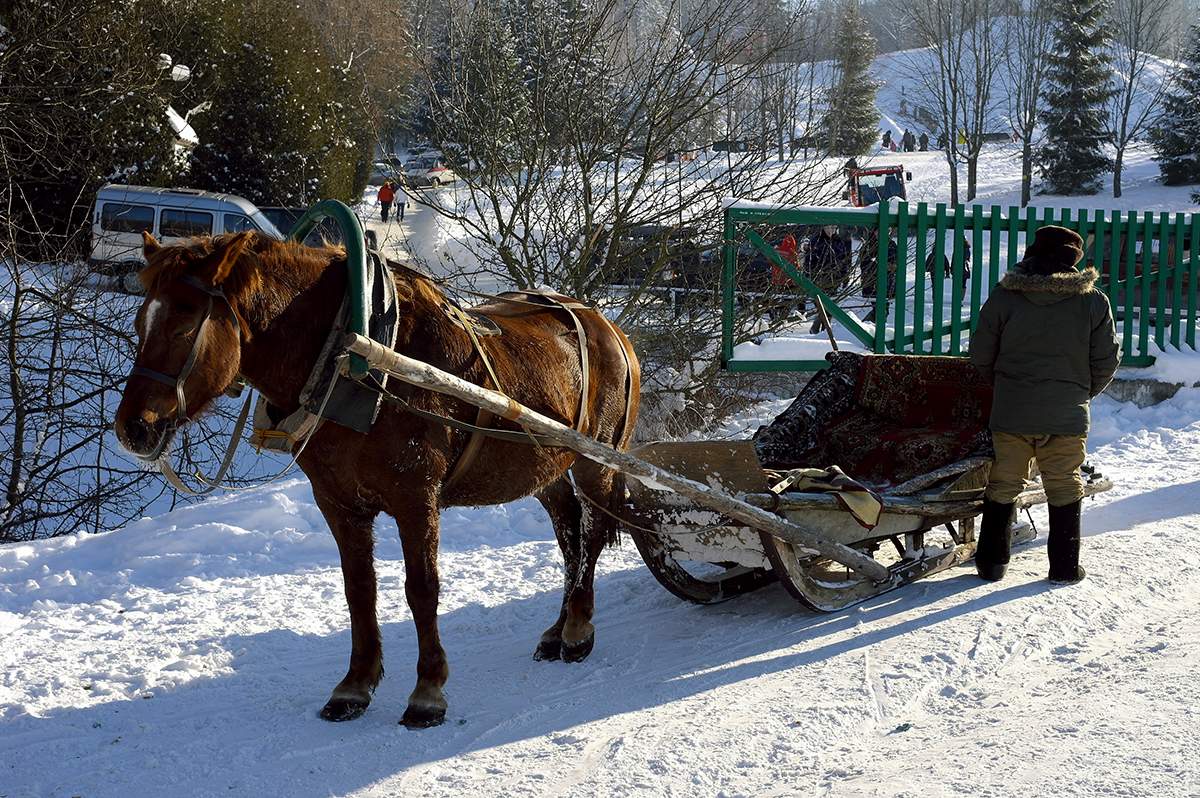 Фото ямщика в тулупе