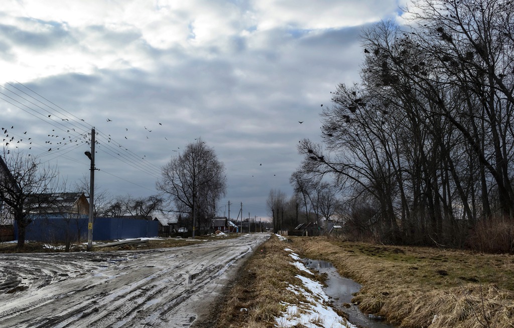 Село весной. Деревенская улица весной. Деревня ранней весной. Весна дорога деревня. Весна деревня улица.