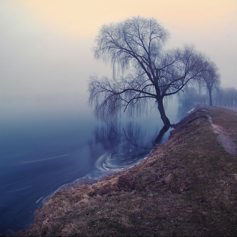 April morning. Апрельское утро. Утро апрель. Одиноко стоящее дерево.