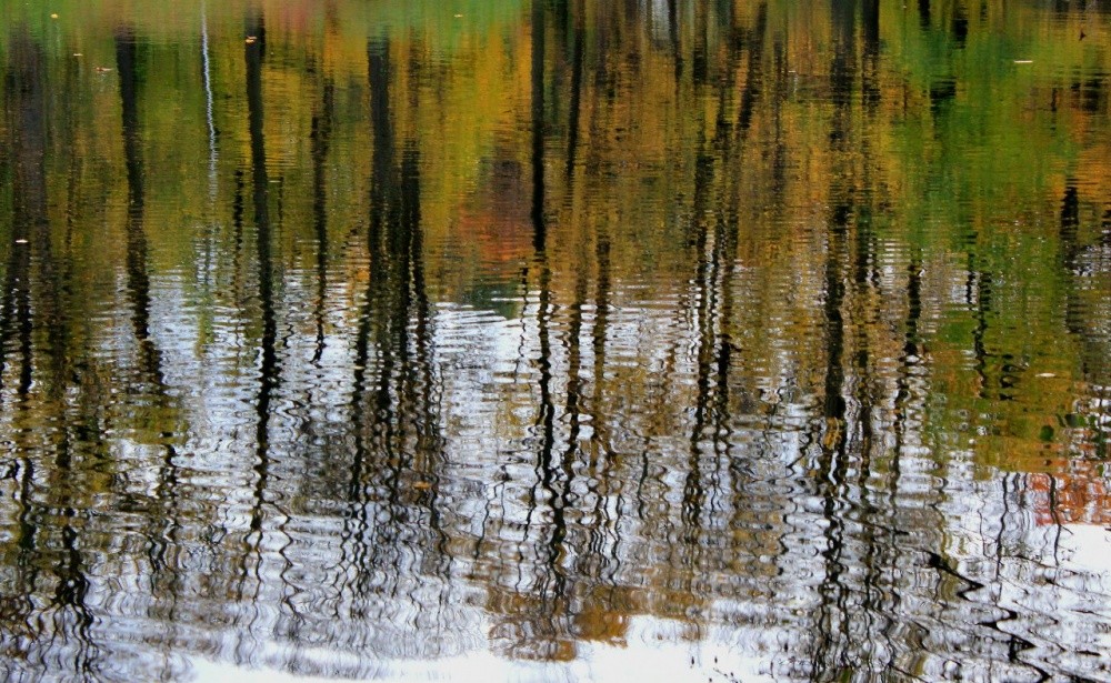 Отражение Осени В Воде Фото