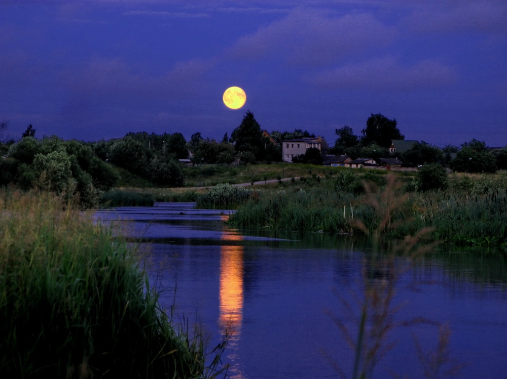 Луна у реки