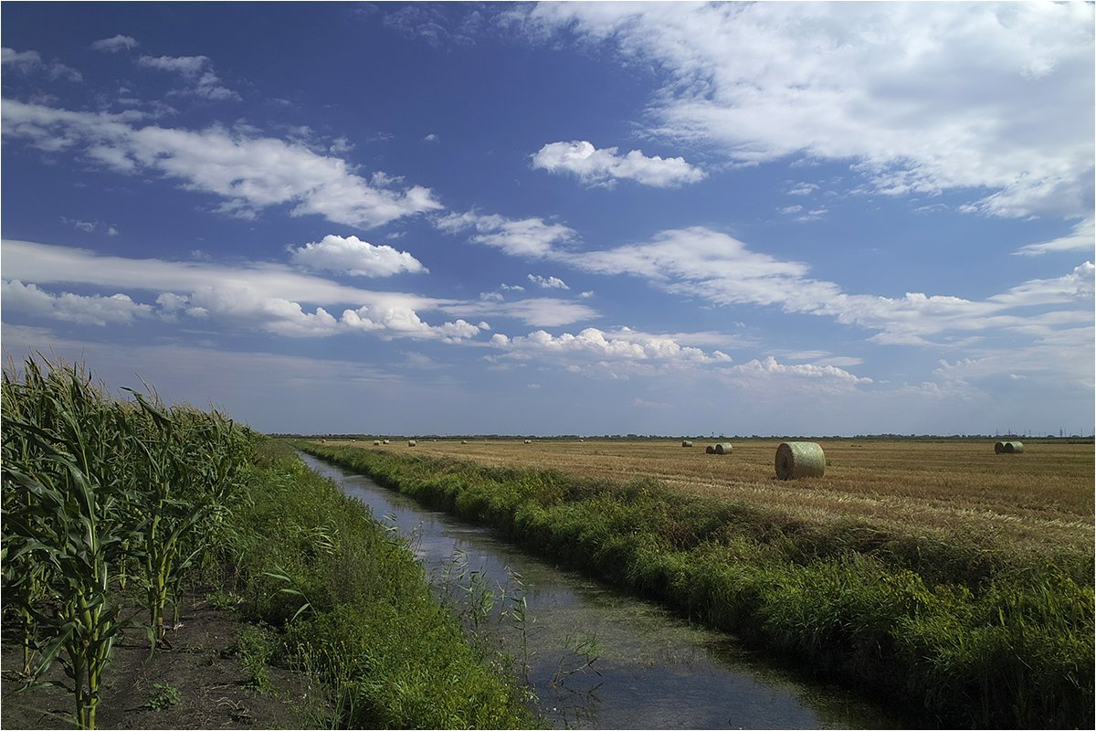 Белорусское полесье фото