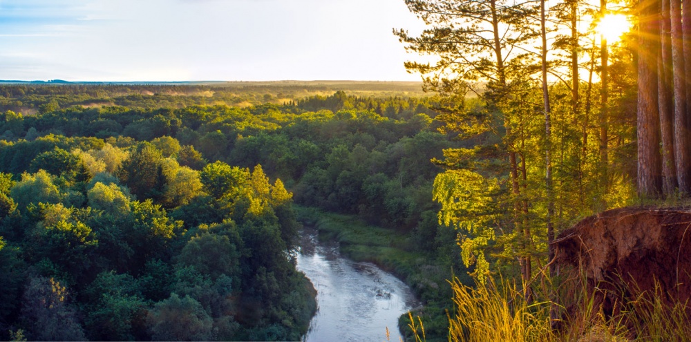 Река Чепца в Удмуртии