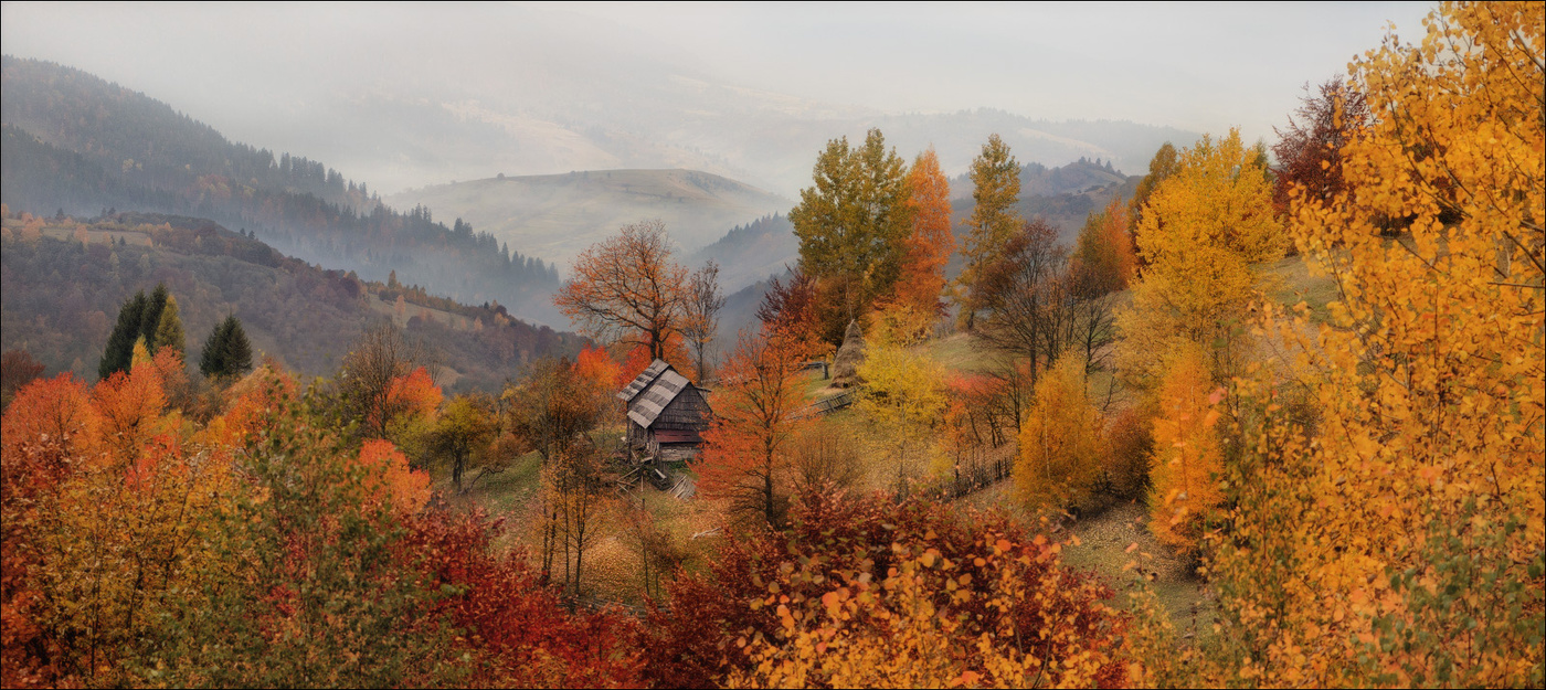 Горы Карпаты панорама