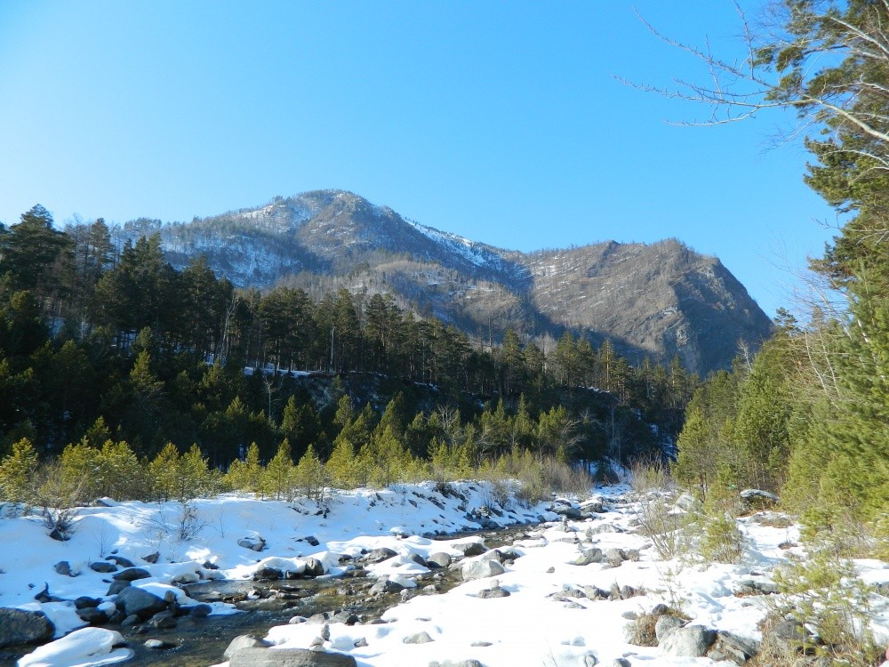 Аршан в саянах. Аршан Саяны. Аршан горы. Аршан 2014. Саяны Аршан фото.