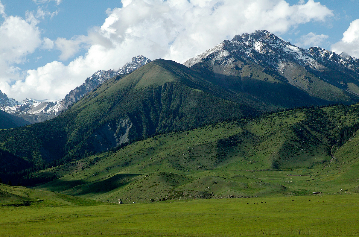 Мекеним кыргызстан. Пик Манаса Киргизия. Мекеним Кыргызстан природа. Ала-ТОО Киргизия горы. Мекеним Кыргызстан картина.