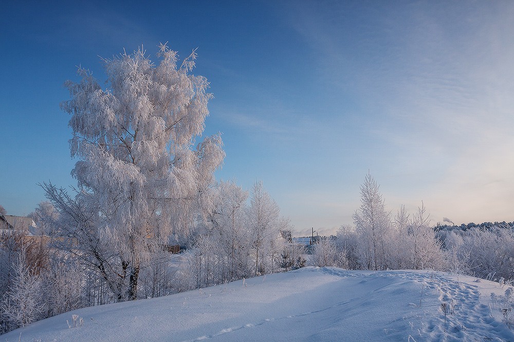 Январь фото. Река Ока зима. Ока зимой. Река Ока зимой. Река Ока зимой фото.