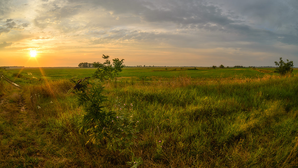 Русское раздолье фото