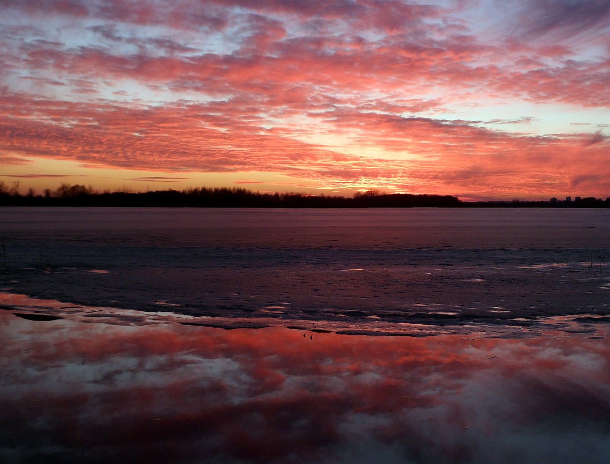 Следствие вели 2017. Багровый лёд. Багровый лед. Rhjd yf cytue. Багряный цвет.