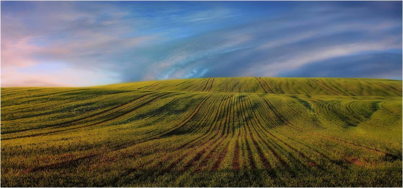 Фото полей беларуси