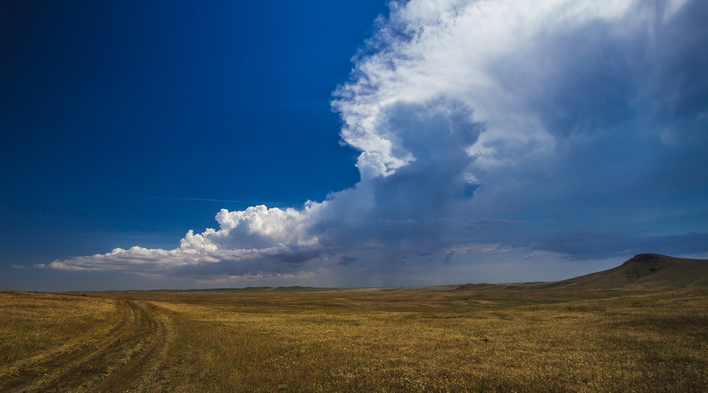 Картинка степь широкая