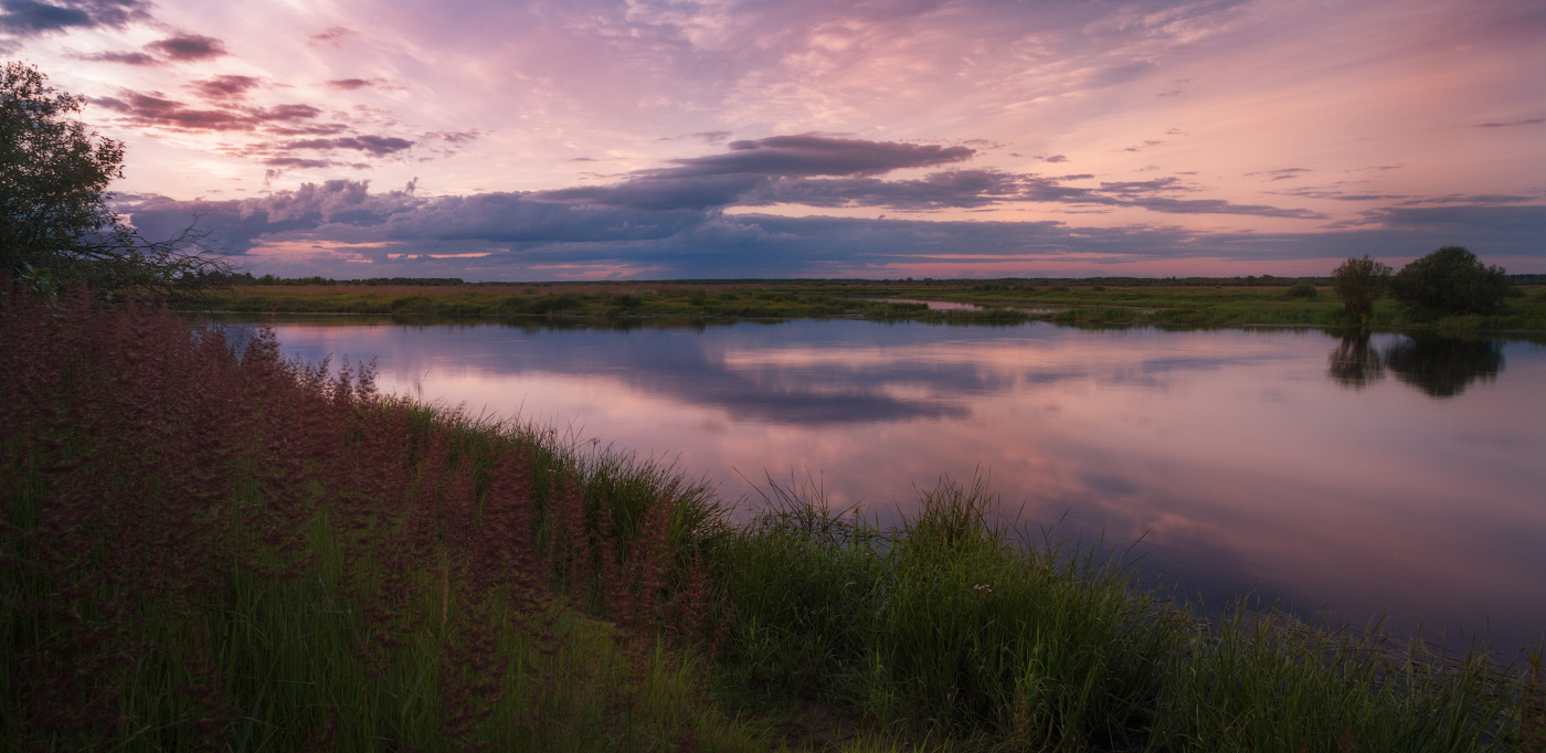 Опустился сиреневый вечер. Сиреневый вечер. Река Березина. Июньский вечер фиолетовый. Июнь река сирень вечер.