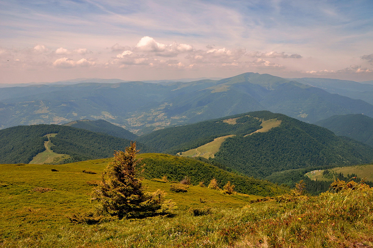 Карпатские горы Закарпатье