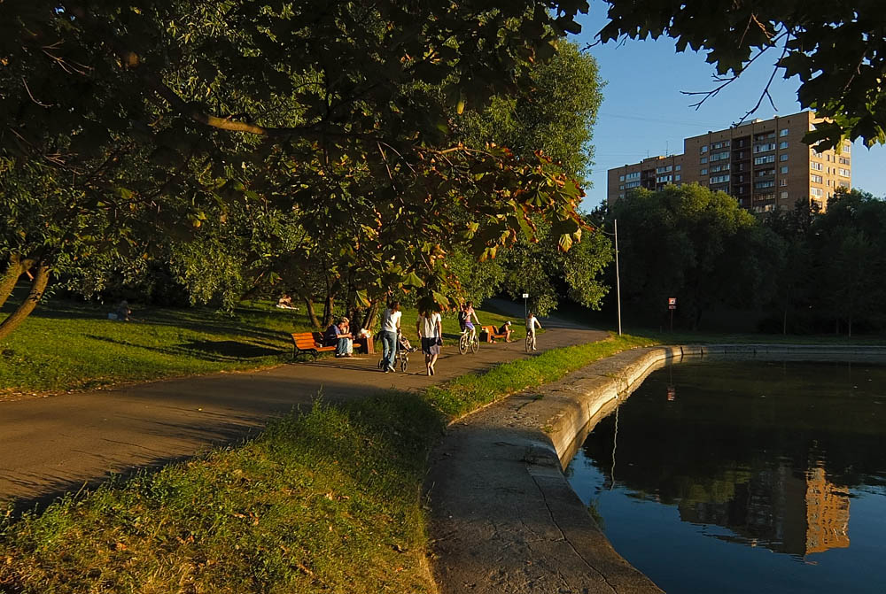 Парк дружбы. Парк дружбы, Москва, Фестивальная улица. Парк Дружба на речном вокзале вечером. Парк дружбы фото сверху. Москва САО парки вечером.