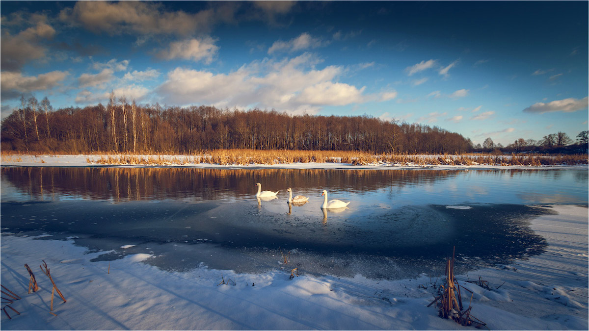 лошицкий парк зимой