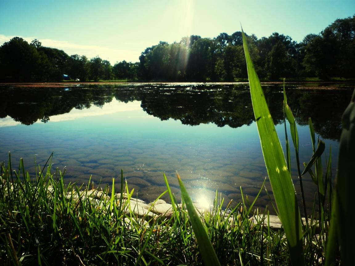 Красивые водоемы фото